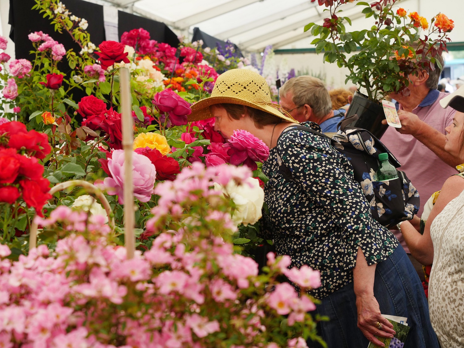 Circus Theme for 2019 Blenheim Palace Flower Show