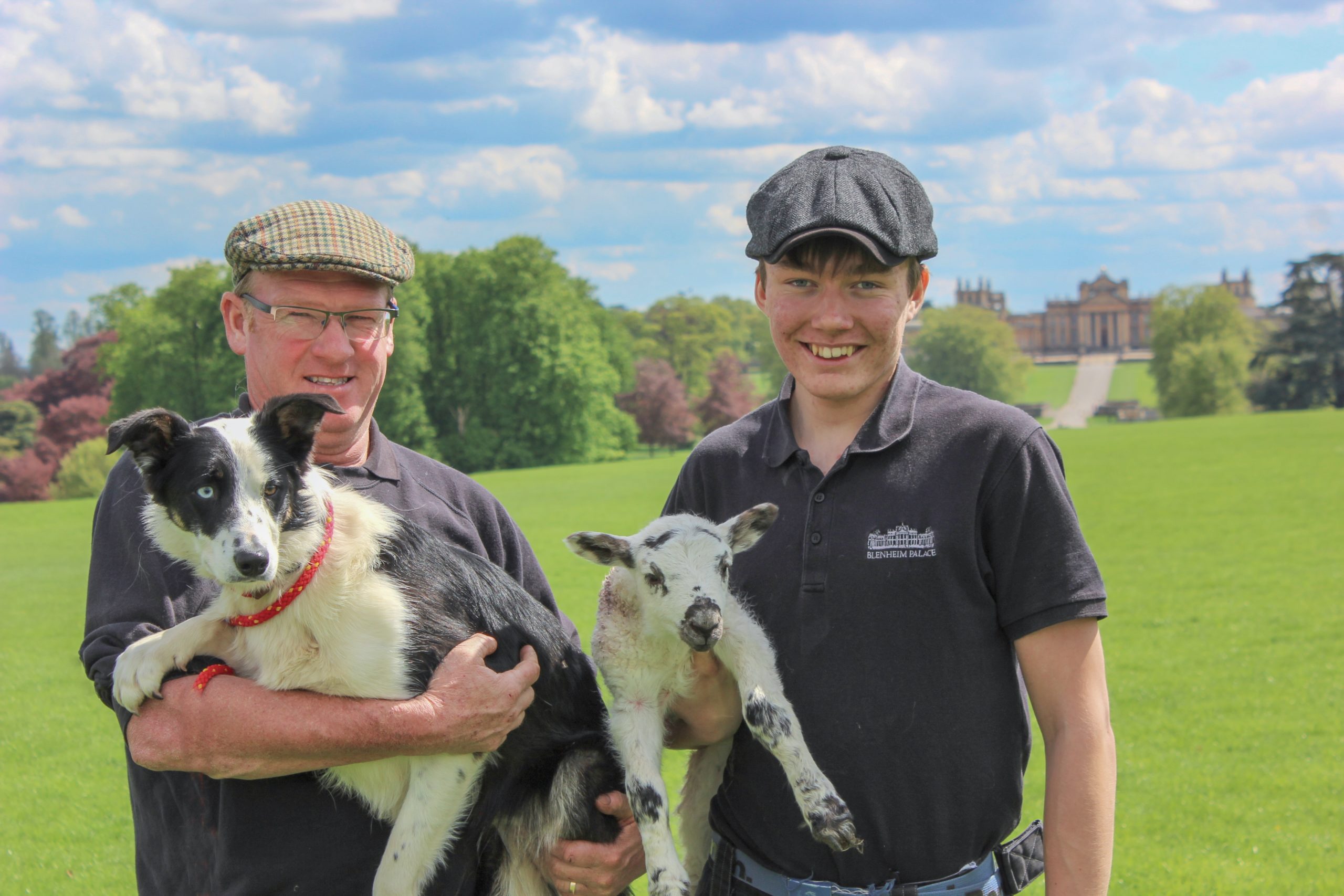 Blenheim Shepherd on the Lookout for New Apprentice