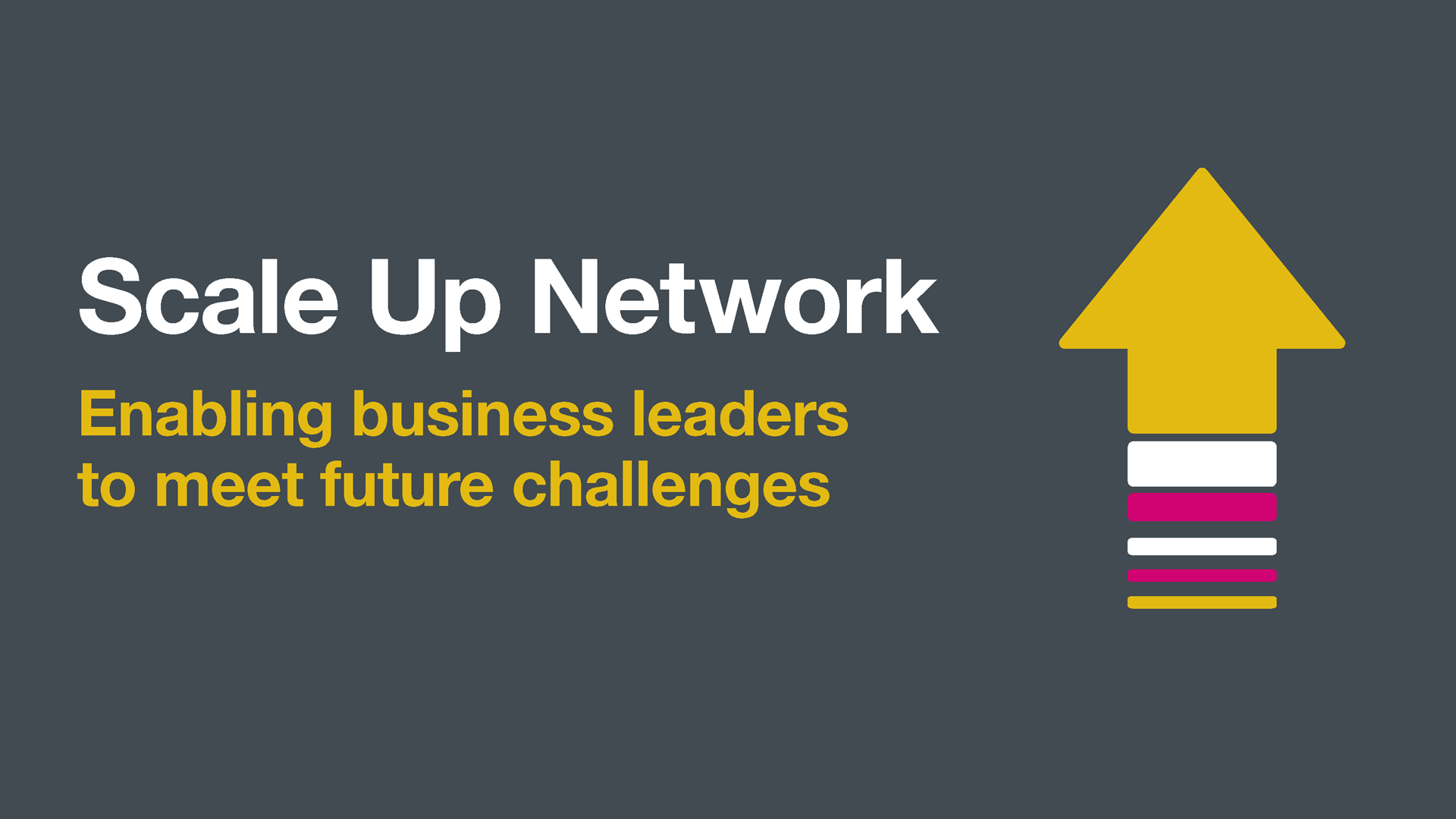 Scale Up Network: Enabling business leaders to meet future challenges