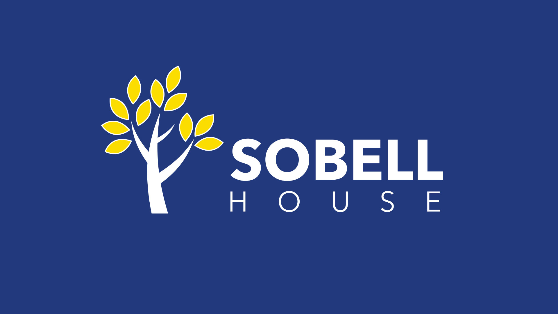 Latest News from Sobell House