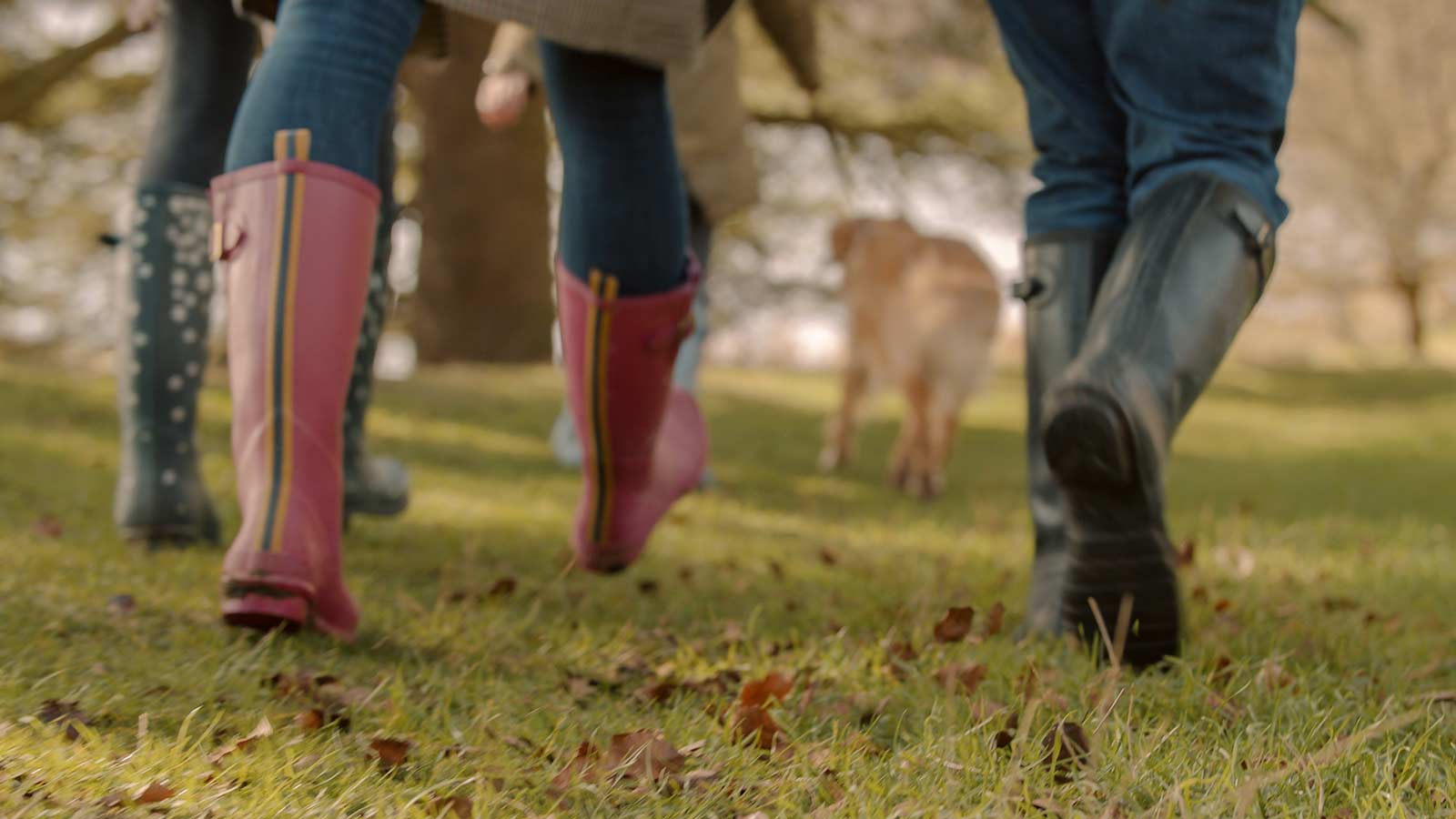 Blenheim: The Importance Of Wellbeing For Employees In The Current Climate