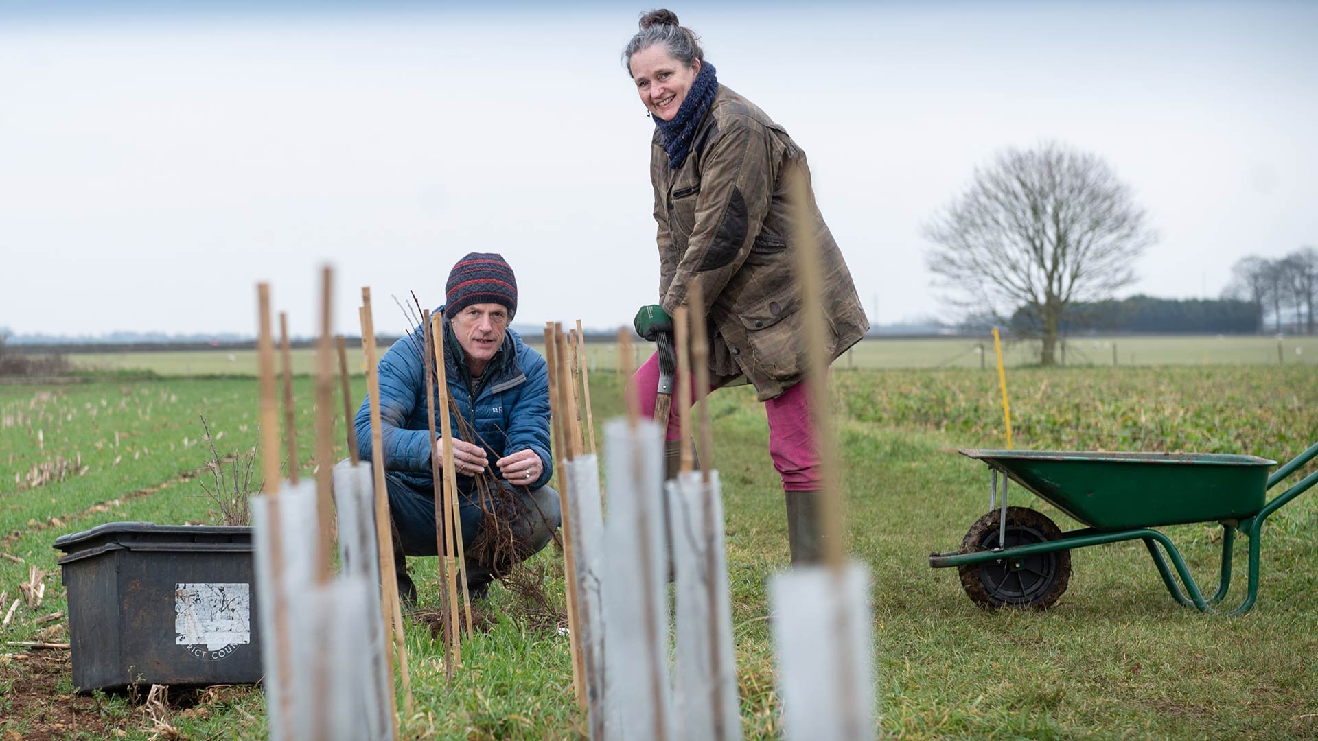 Volunteers Restore Blenheim  Estate Historic Hedgerow