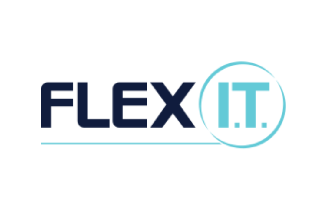 Flex Information Technology Ltd