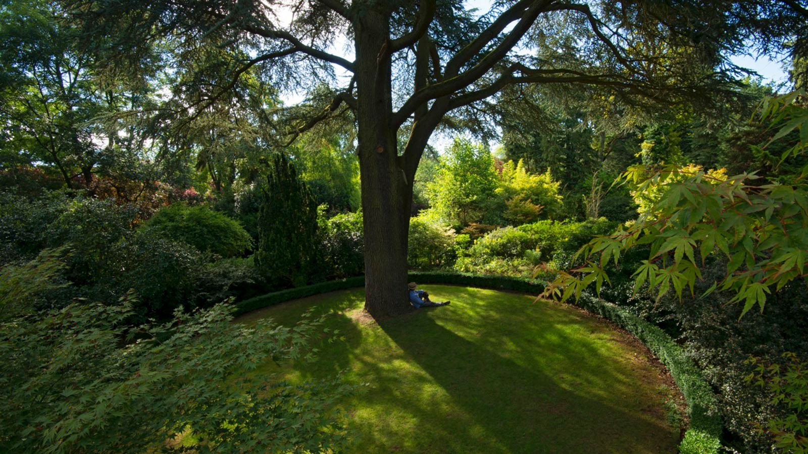 Blenheim Pilots New Social  Prescription Programme