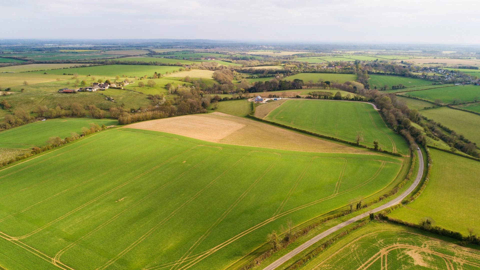 Blenheim Estate Invites Tenders For Long  Term Partnership on Arable Land