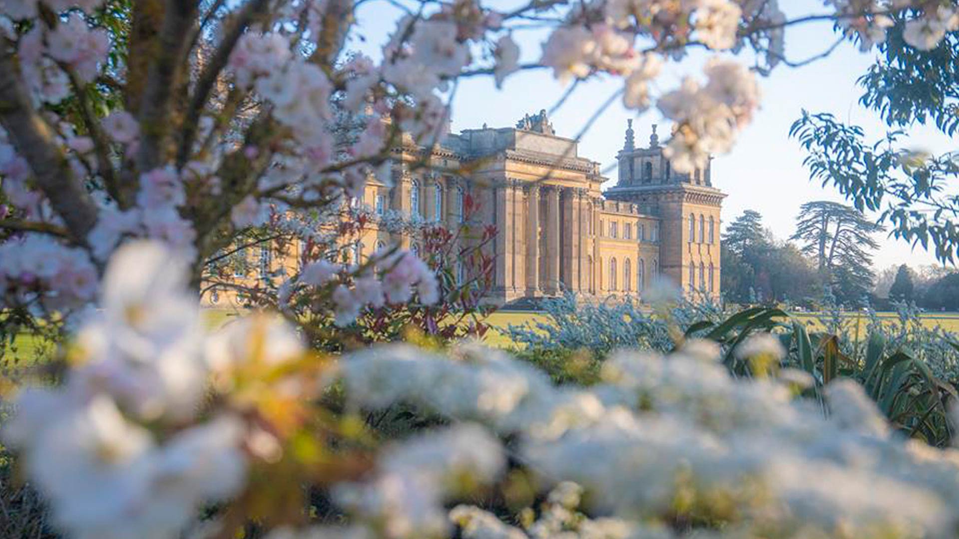 Blenheim: Bringing you the best from the Estate this May