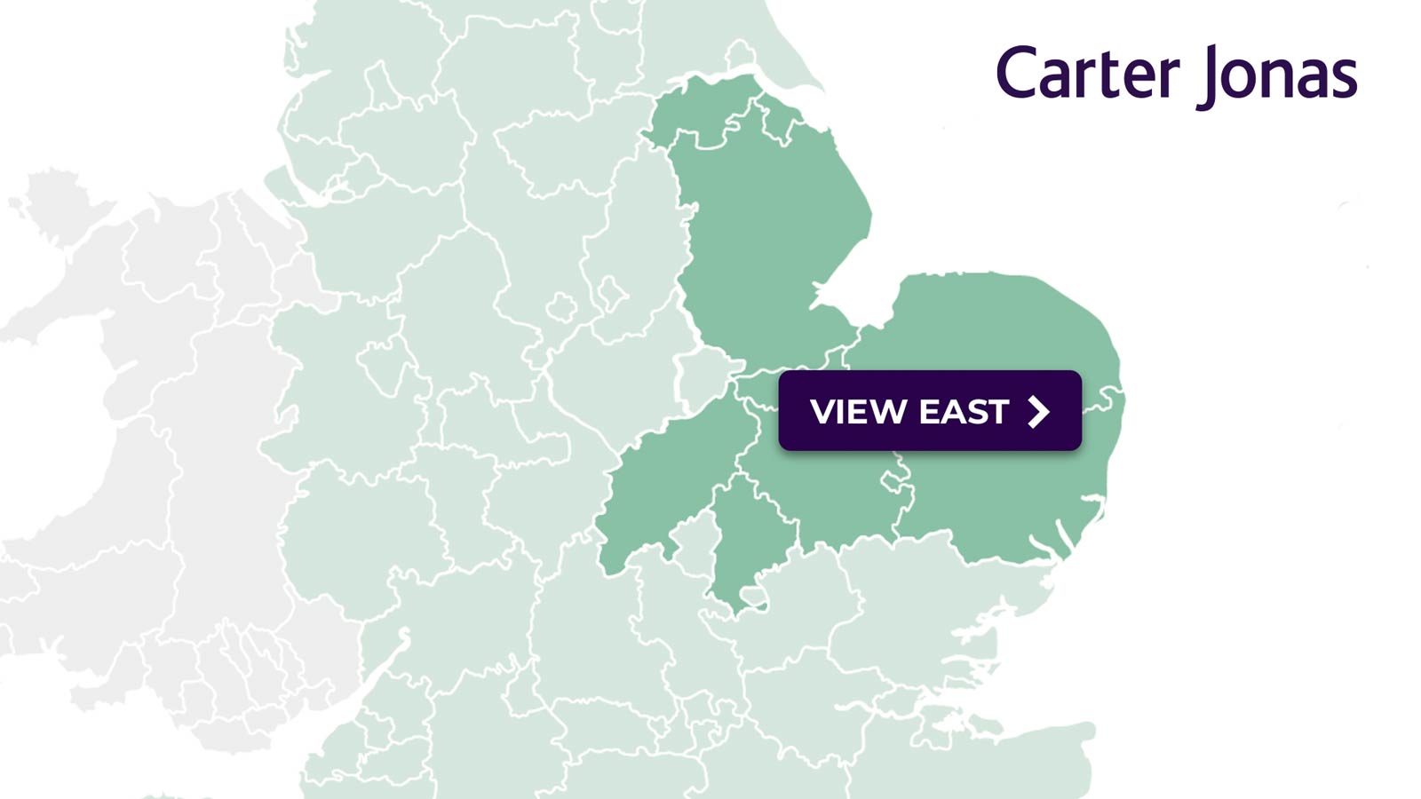 Carter Jonas: New Live Local Plan Monitor