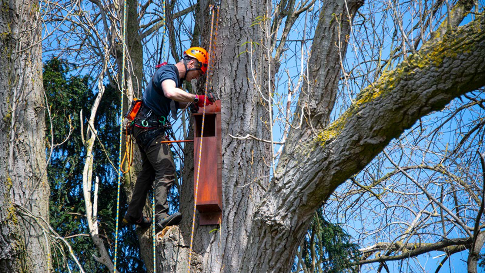 Biodiversity work recognised at the 2021 National Landscape Awards