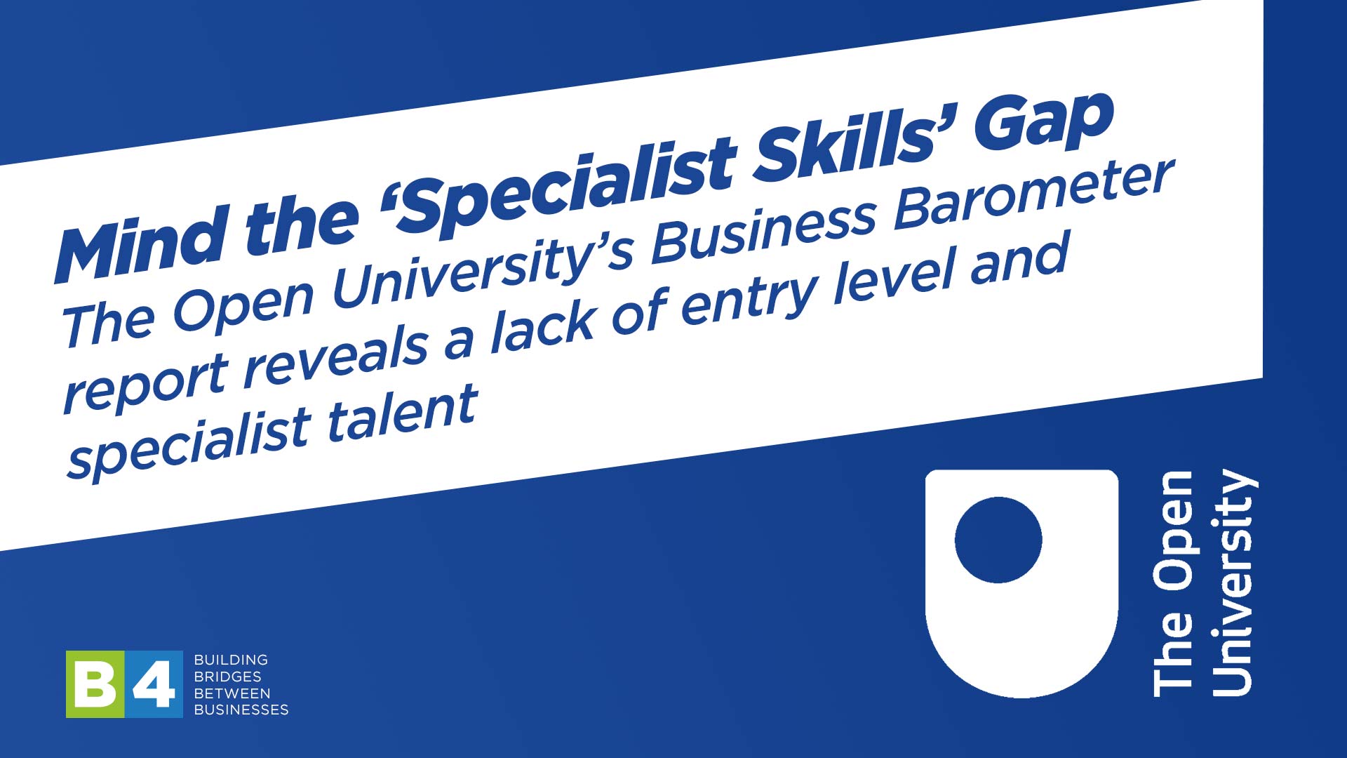 Mind the ‘Specialist Skills’ Gap