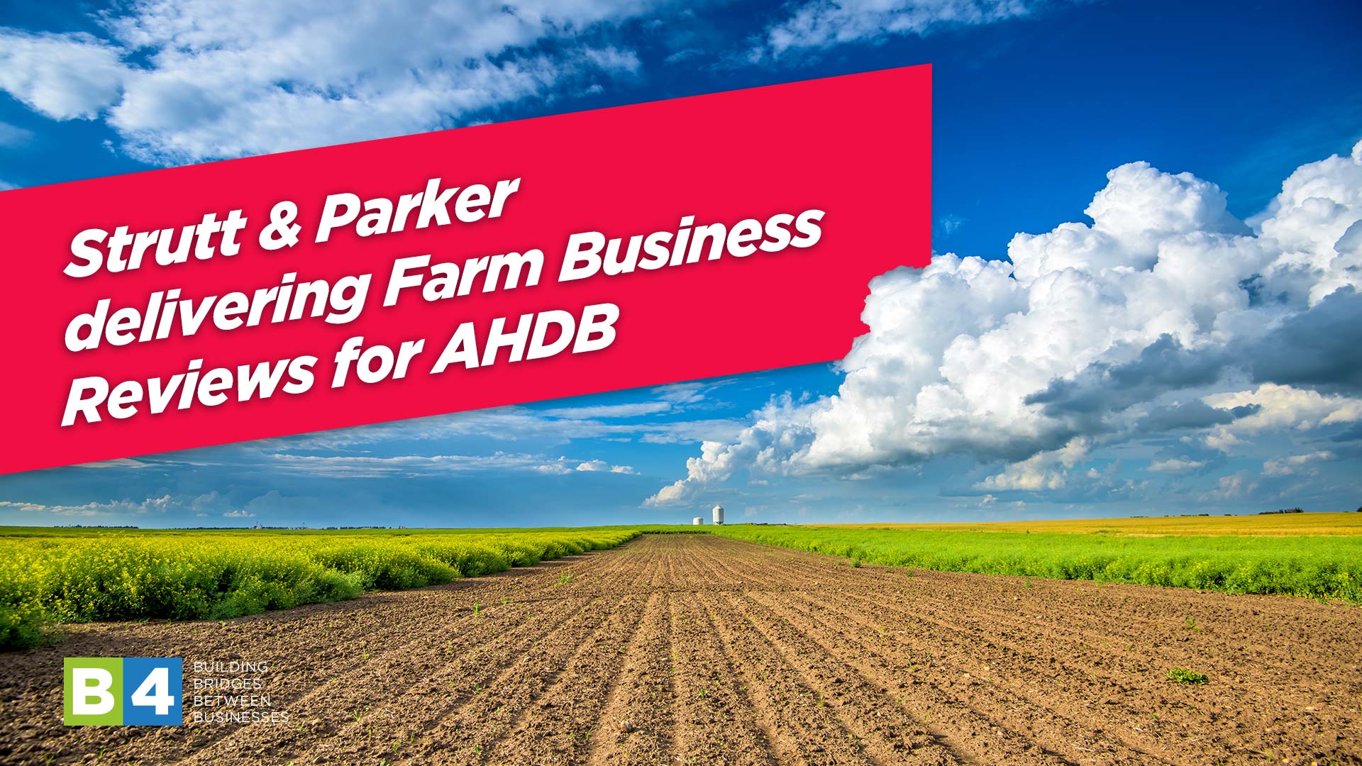 Strutt & Parker delivering Farm Business Reviews for AHDB