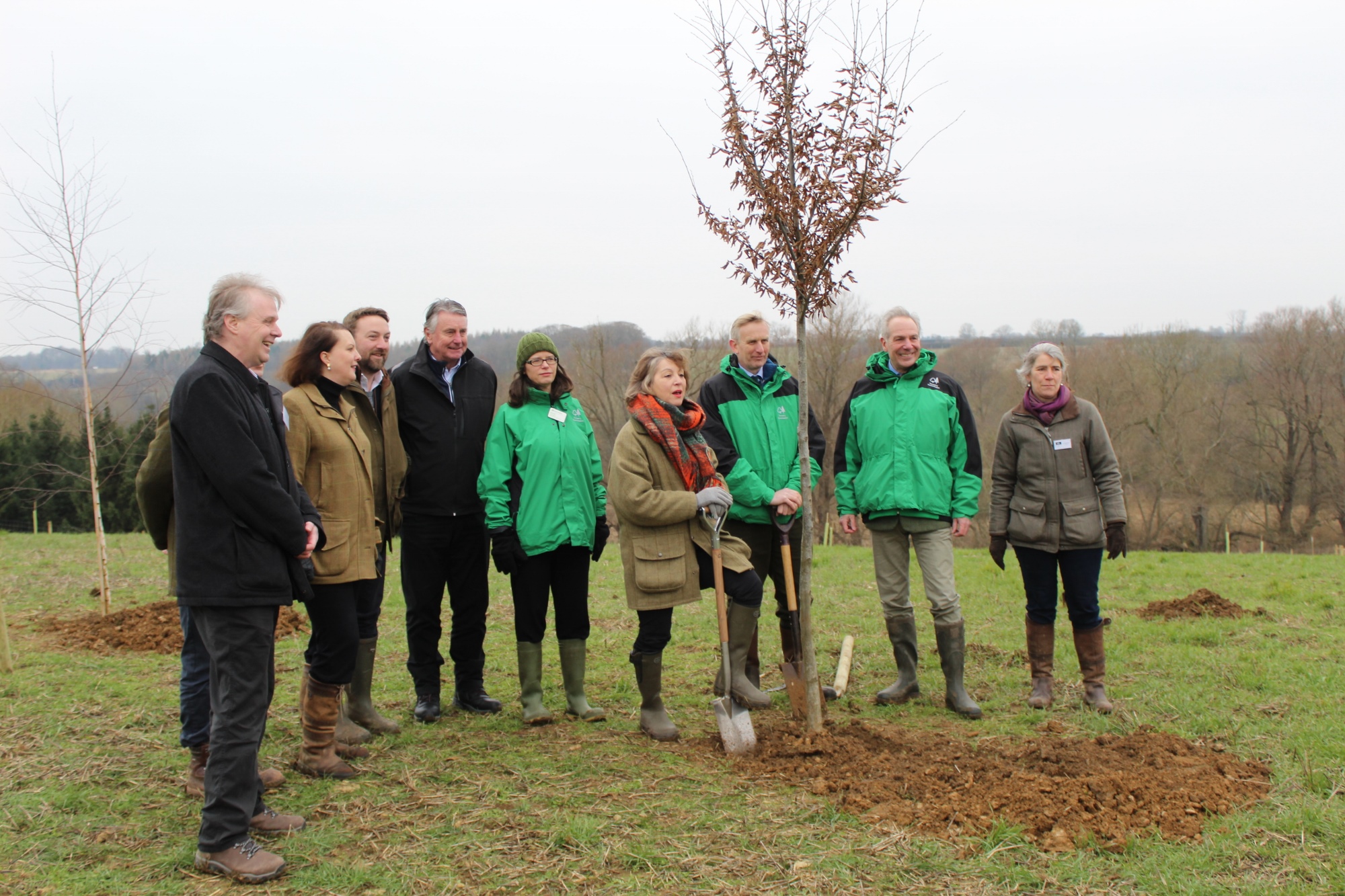 Blenheim’s Tree Planting Scheme a ‘Shining Example’ Says Forestry Commission