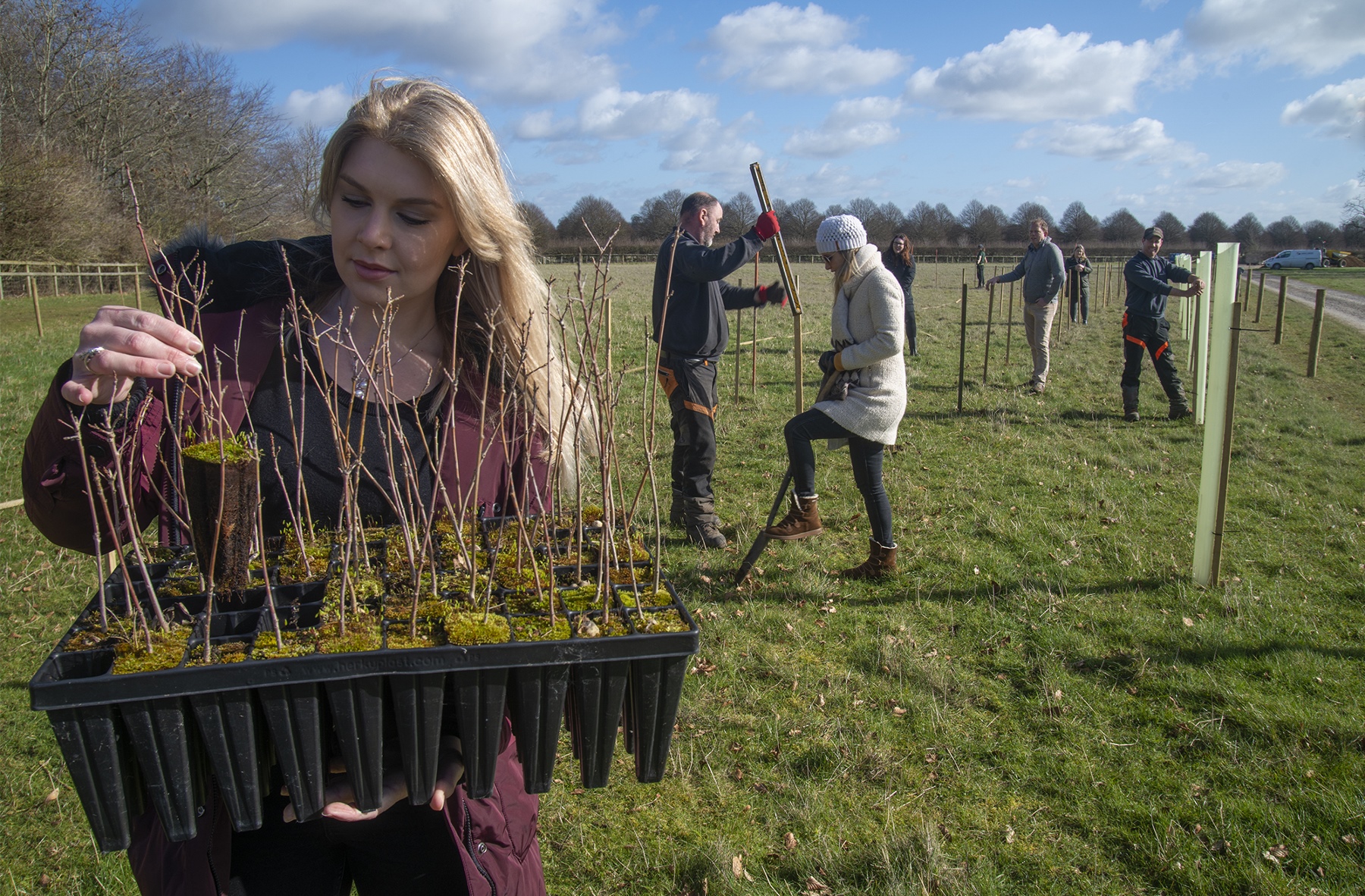 Tree-Planting and Yoga on Offer to Staff as Part of Wellbeing Programme