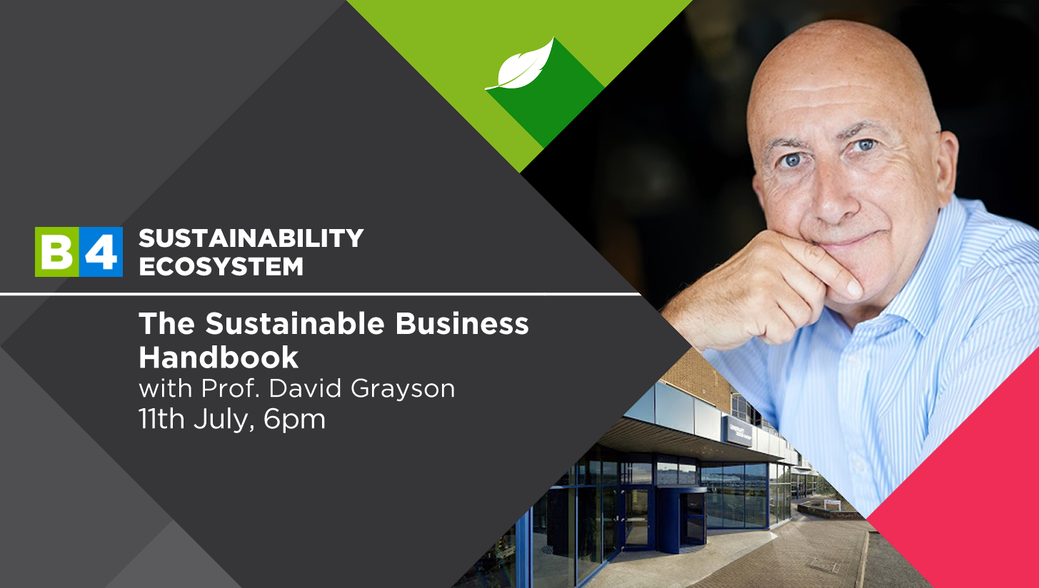 Listen In: The Sustainable Business Handbook, by David Grayson