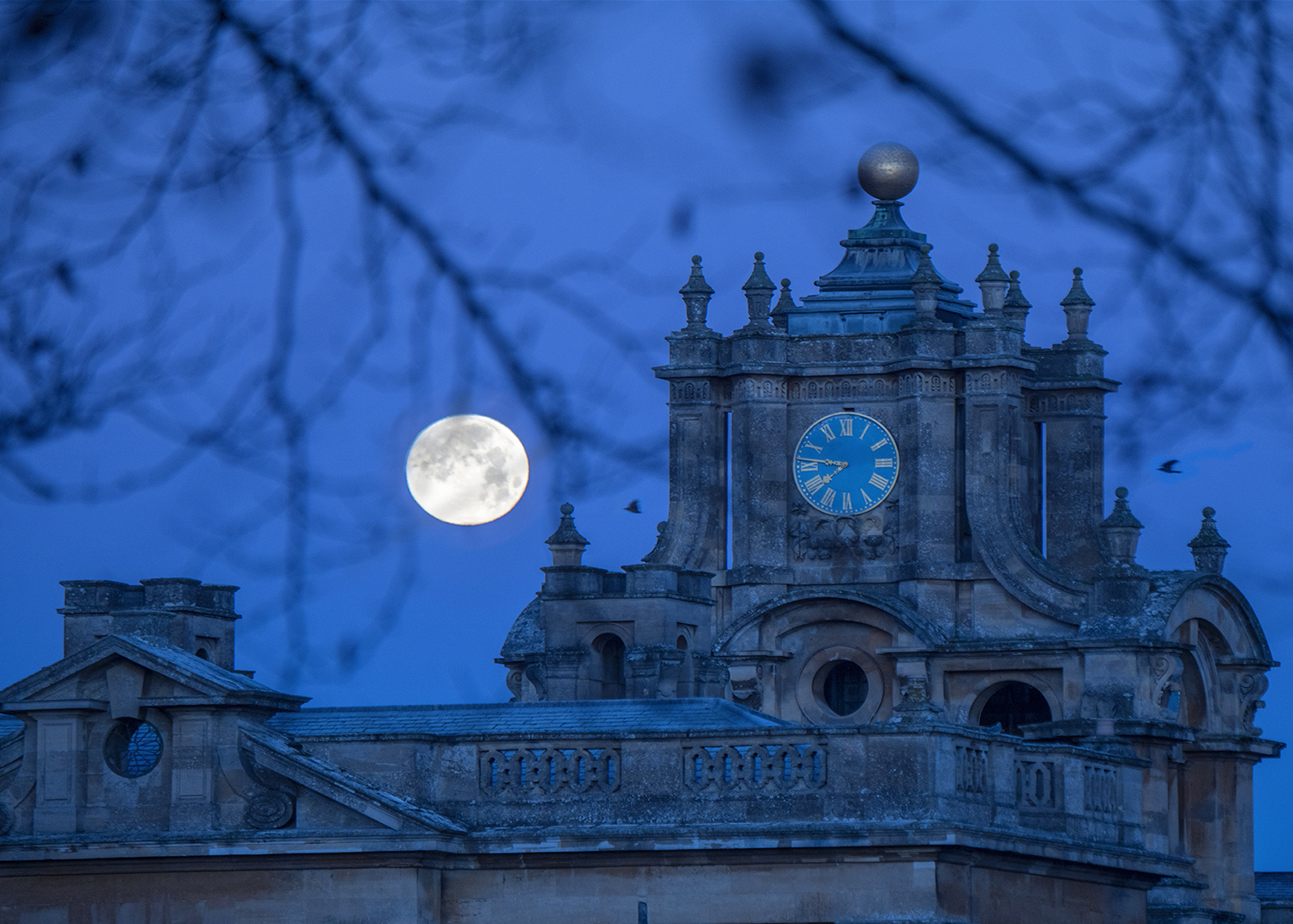 Award-winning Photographer Goes Behind the Lens at Blenheim Palace