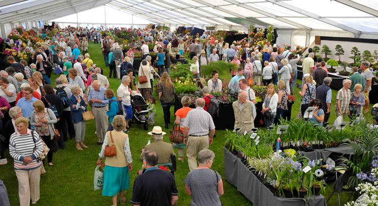 Blenheim Palace Flower Show