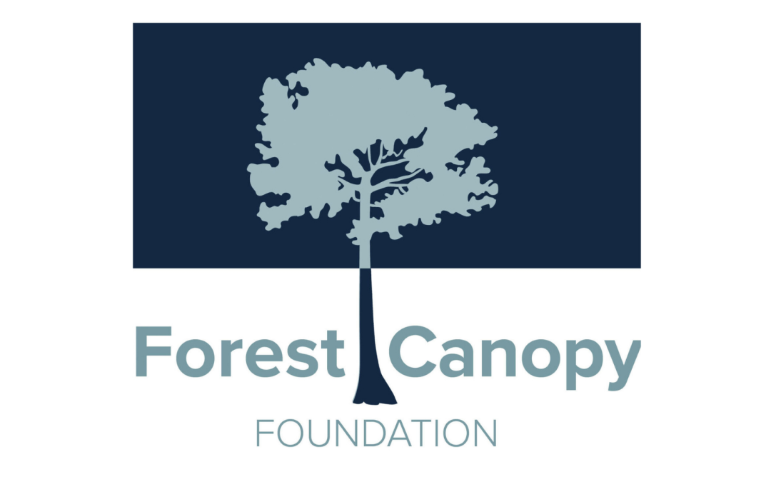 Forest Canopy Foundation