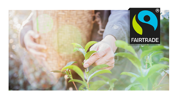 Fairtrade: Empowering Communities and Ethical Consumerism